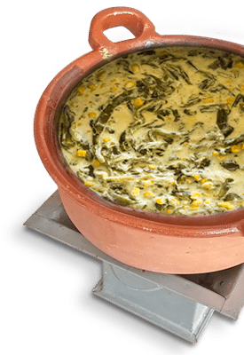 taquizas para eventos